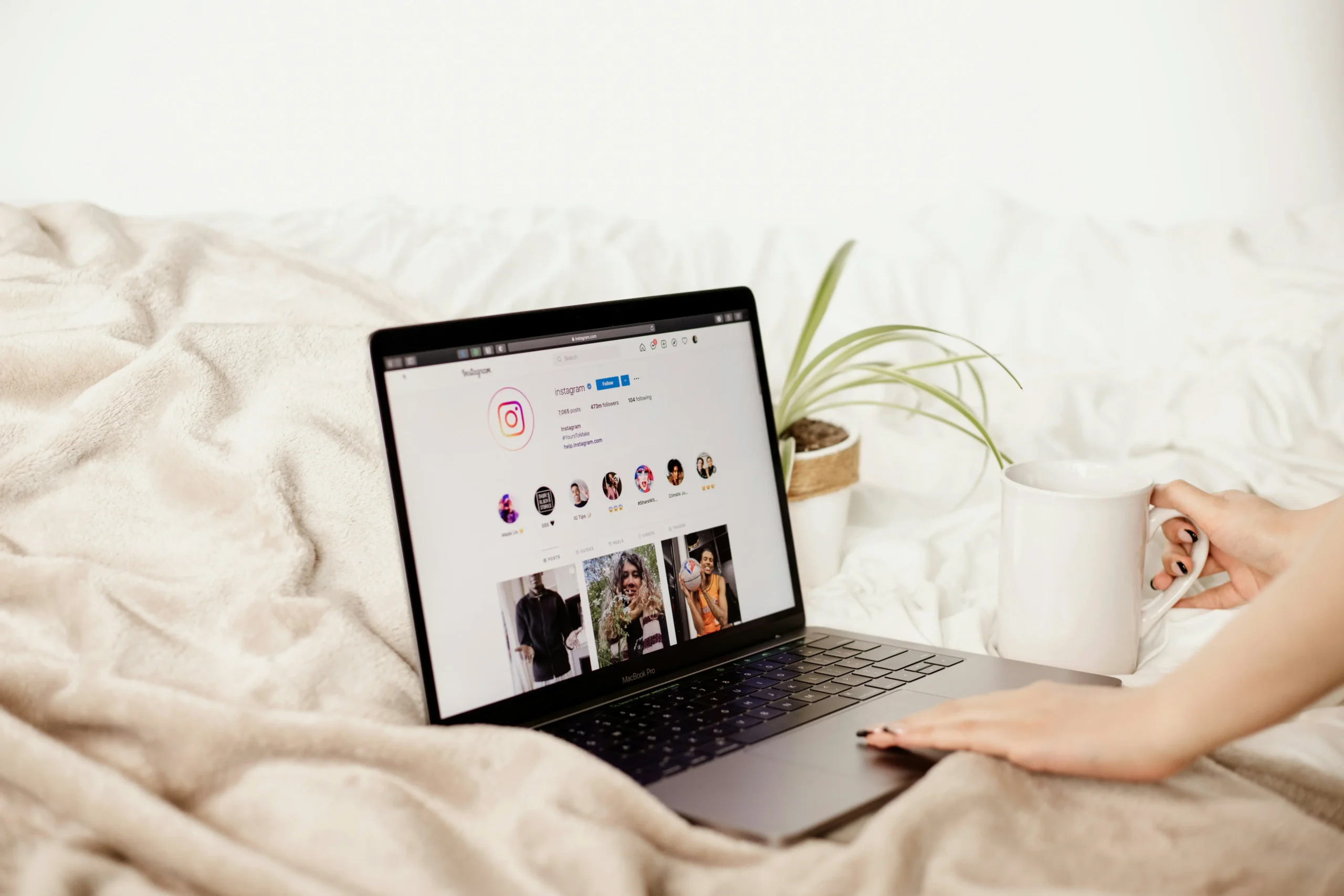 Cursos Presenciales y Online